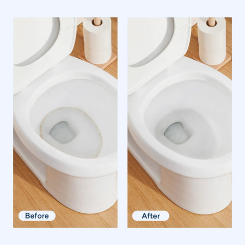 Toilet Bowl Cleaner Tablet Refills
